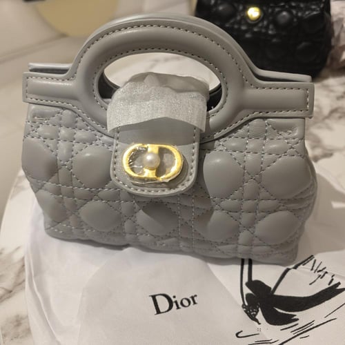 حقيبة ديور ميني F1