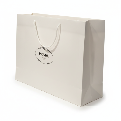 كيس براند برادا كبير جدا