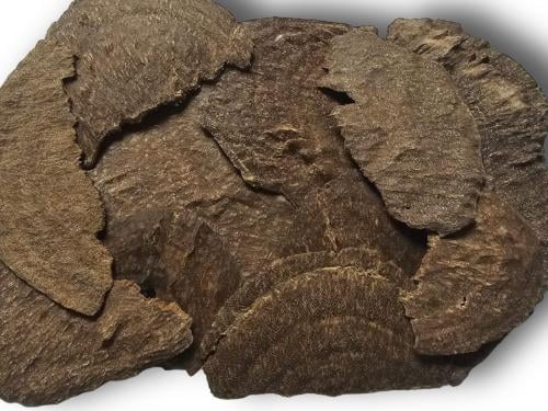 جار هندي طبيعي سوبر