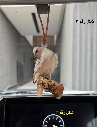 تعليقة سيارة اكريلك برسمة حسب الطلب