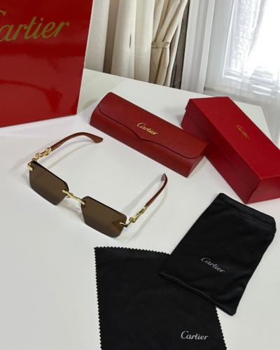 نظارة كارتير شمسية