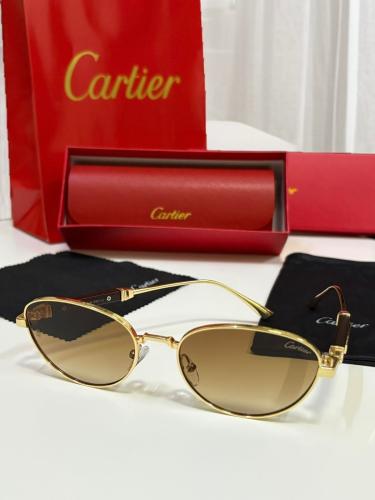 نظارة كارتير شمسية