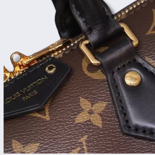 حقيبة يد Louis Vuitton