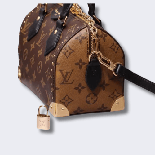 حقيبة يد Louis Vuitton