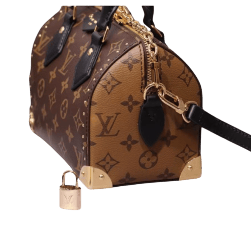 حقيبة يد Louis Vuitton