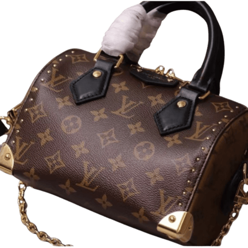 حقيبة يد Louis Vuitton