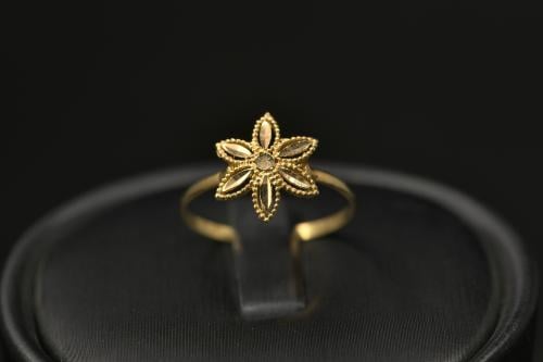 غصن الزيتون 21