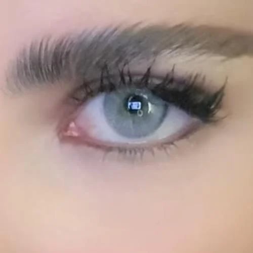 Ash Grey ( آش قراي )