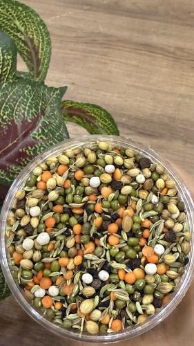 البذاير