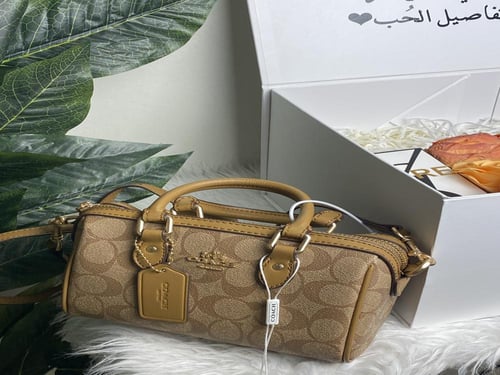 بوكس اوليفيا