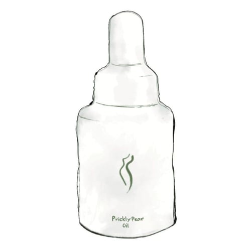 زيت بذور التين الشوكي العضوي