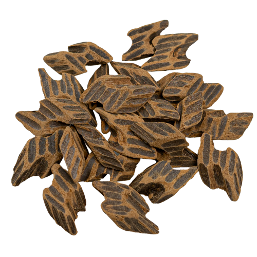 تايقر فيتنامي