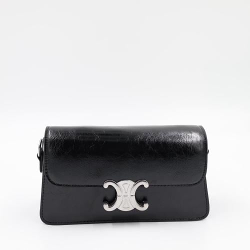 Master Celine bags