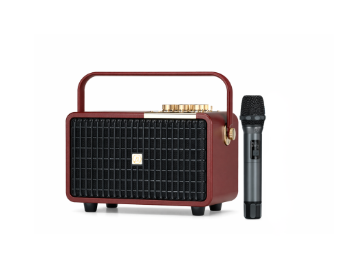 سماعة LARK L400 المحمولة - بقوة 100 واط مع ميكروفو...