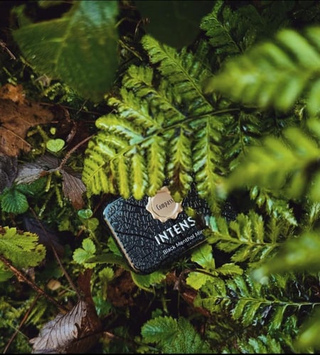 كومباس إنتنس أقراص استحلاب بلاك منثول 20 غرام