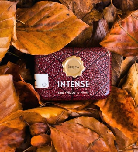 كومباس إنتنس أقراص استحلاب بالتوت 20 غرام