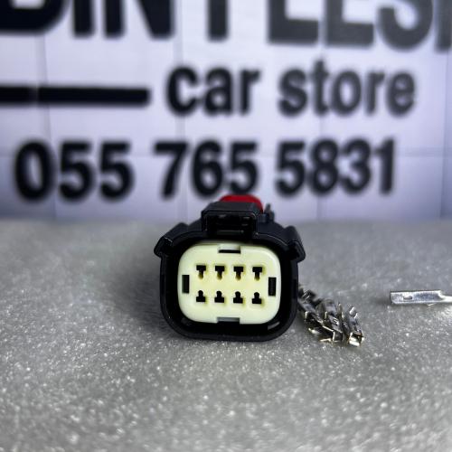 فيش شمعة سييرا