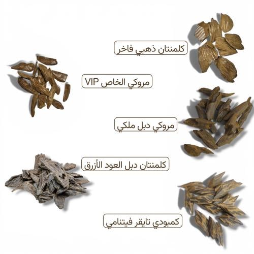 باقة جَسور (العود المحسّن)