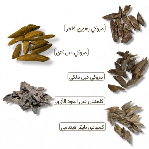 باقة جَسور (العود المحسّن)