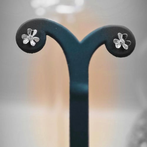 زهرة النقاء