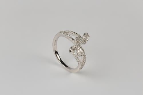 فراشات النور