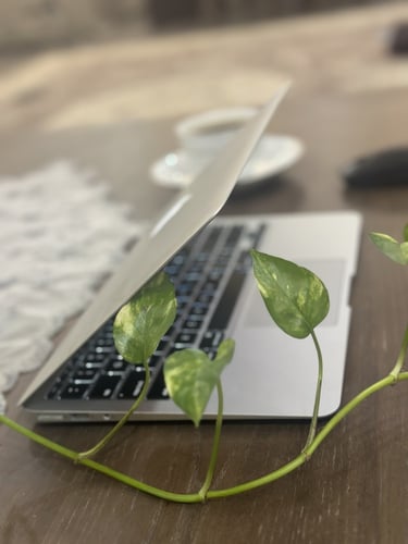 أبل ماك بوك إير 2015 فضي 11.6 انش بمعالج i5