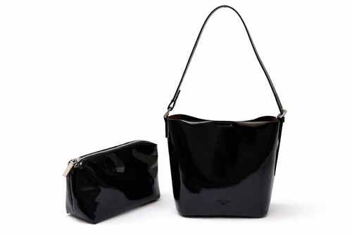 Laura bag the shiny