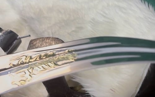 جنبية دس جنوبية الكايدة