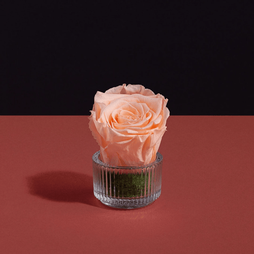 هدية ساعة نسائية مع ورد وشمعة معطرة CL23