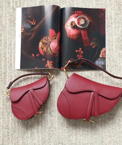 Dior saddle bag 25.5cm
