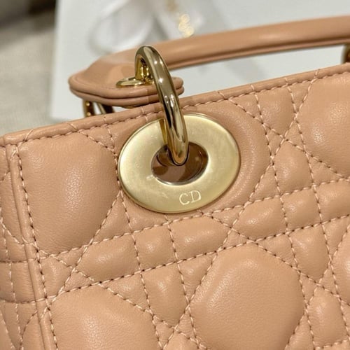Small lady dior