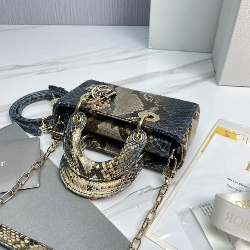 شنطة ديور مينى