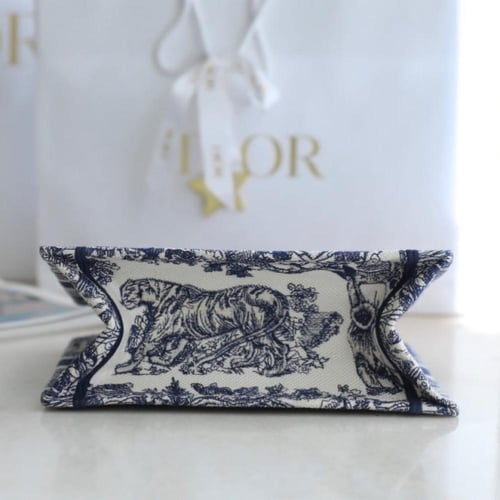 Small Dior Book Tote 26.5cm