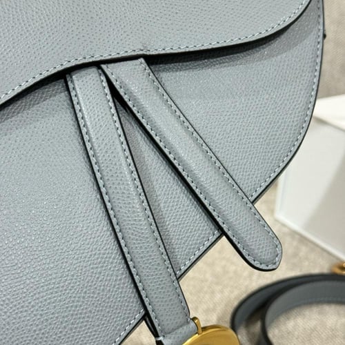 Dior mini saddle bag 21cm