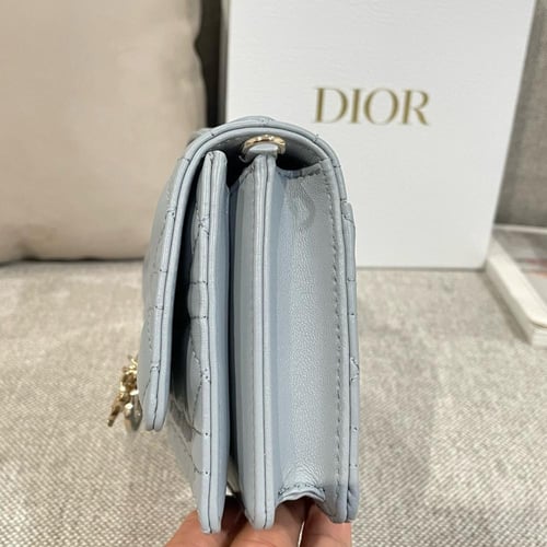 My dior mini