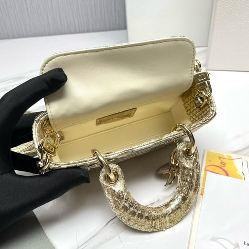 شنطة ديور مينى