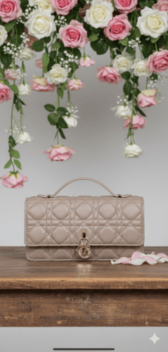 شنطه Dior