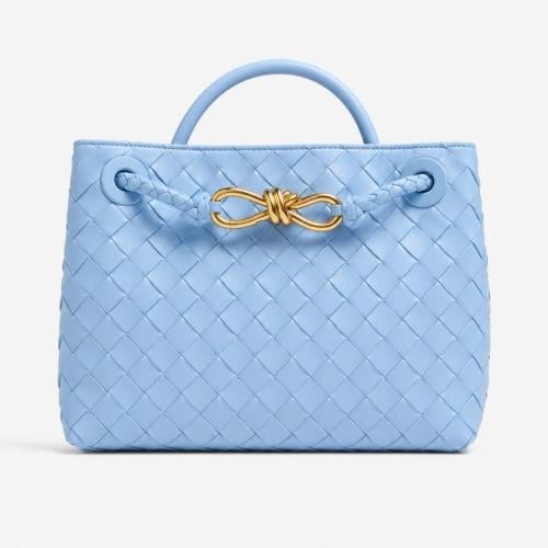 bottega Andiamo Top Handle bag Small