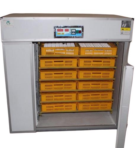 فقاسه ١٠٥٦ بيض اوتماتيك صيني