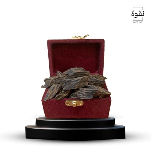 كمبودي تايقر