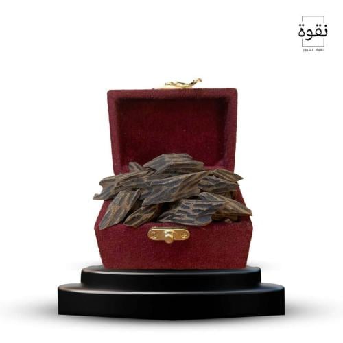 كمبودي تايقر