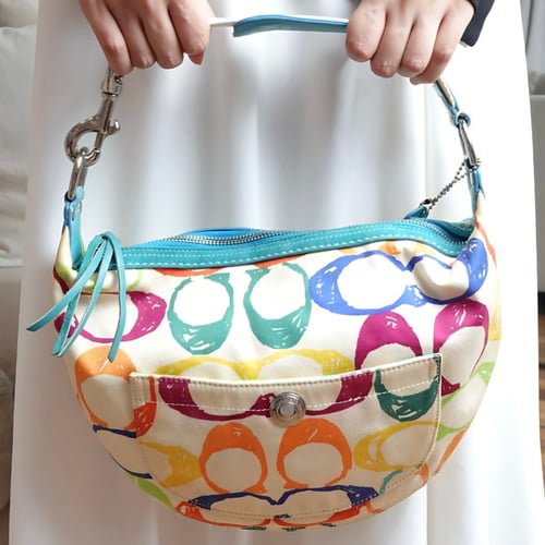 Coach Vintage Multicolor Bag