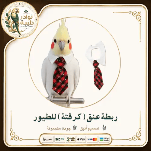 ربطة عنق (كرفتة) أنيقة للطيور والببغاوات