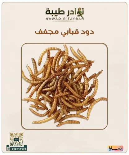 دود قبابي مجفف طبيعي للطيور (Mealworms) - تعبئة يد...