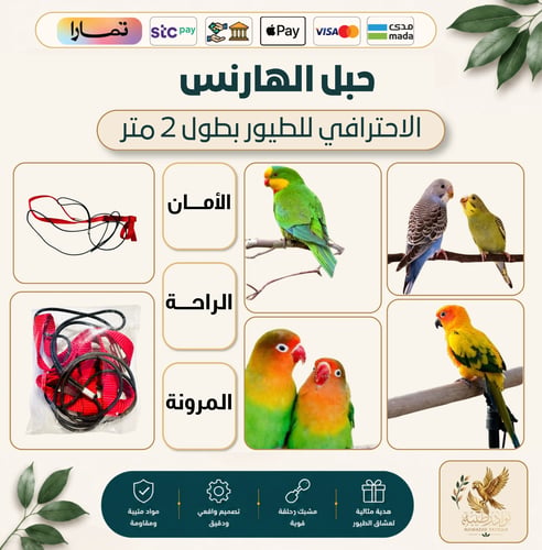 حبل الهارنس الاحترافي لتدريب الطيور – بطول 2 متر
