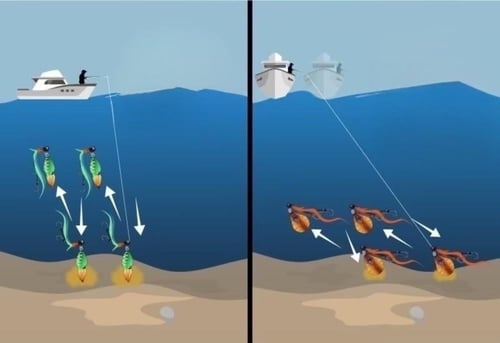 Jackall TG BinBin Switch _ جاكال بن بن سوتش تنقستن...