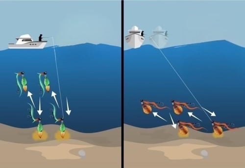 Jackall TG BinBin Switch HEAD _ جاكال بن بن سوتش ت...