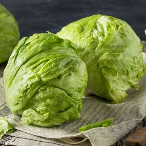 بذور الخس الامريكي ( Crisphead Iceberg Lettuce )