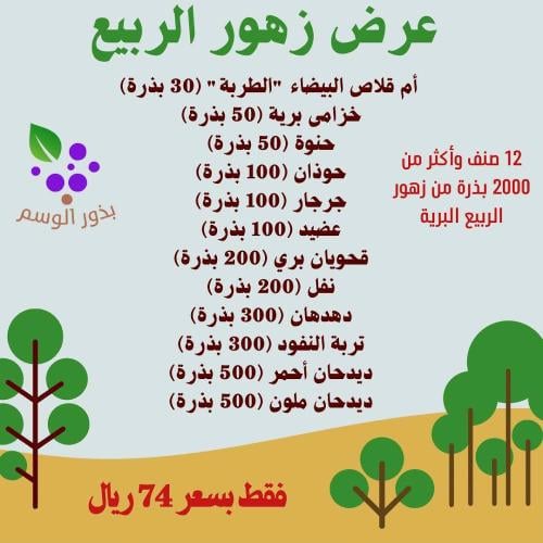 عرض زهور الربيع