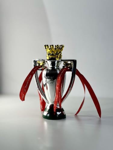 كاس دوري بريميرليج